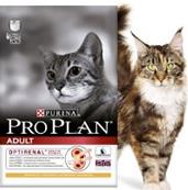 Croquettes chat Proplan adulte poulet