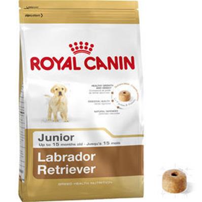 Labrador Retriever Junior 12kg