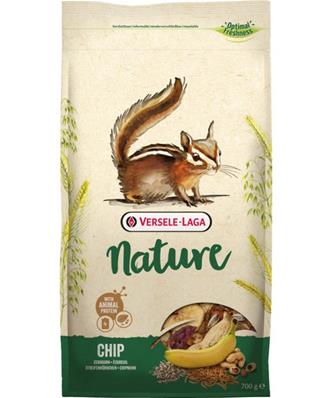 Chip ecureuil nature