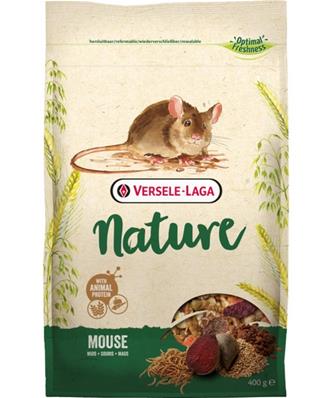 Mouse souris nature