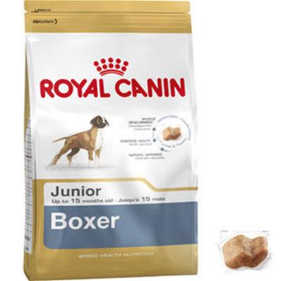 Boxer Junior 12kg