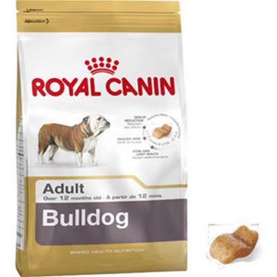 Bulldog Anglais Adult 12kg