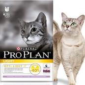 Croquettes chat Proplan light