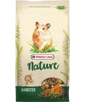 Hamster nature