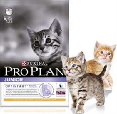 Croquettes chat Proplan junior