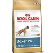 Boxer Adult 12Kg