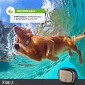 KIPPY EVO nouveau GPS pour chiens et chats