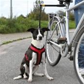 Biker-set 