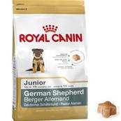 Berger allemand Junior 12kg