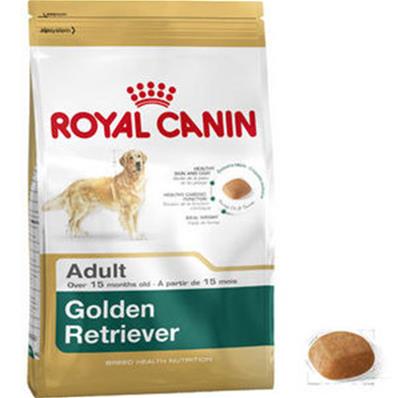 Golden Retriever Adult 12kg