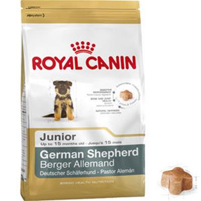 Berger allemand Junior 12kg