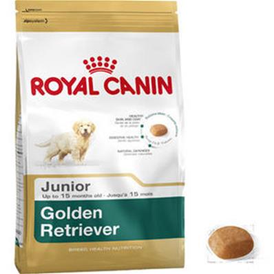 Golden Retriever Junior 12kg