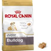 Bulldog Anglais Junior 12kg