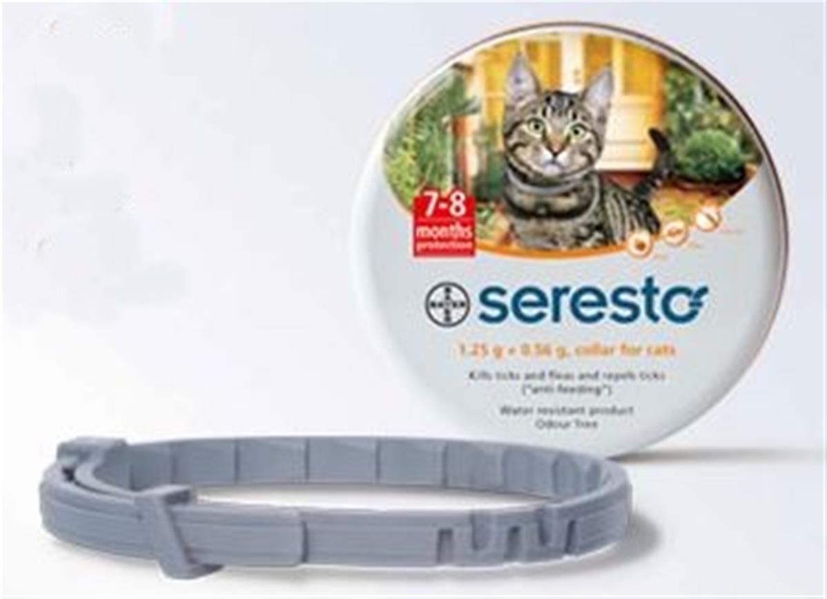 Collier Seresto pour chat BAYER