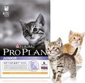 Croquettes chat Proplan junior