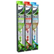 Eclairage Retroled Bright, Color et Combi