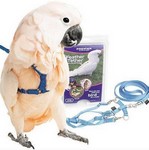 Divers Accessoires Oiseaux